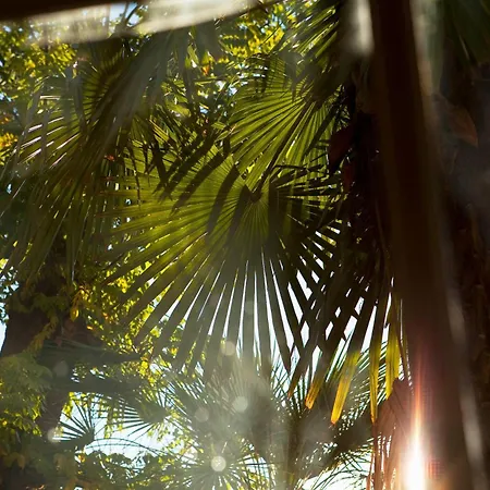 Ξενοδοχείο Oceania Le Metropole Μονπελιέ